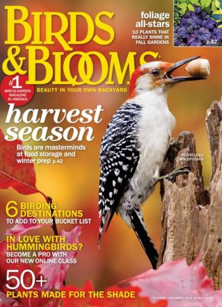 Birds & Blooms Magazine Subscriptions | Renewals | Gifts