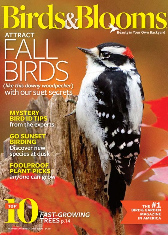 Birds & Blooms Magazine Subscriptions | Renewals | Gifts