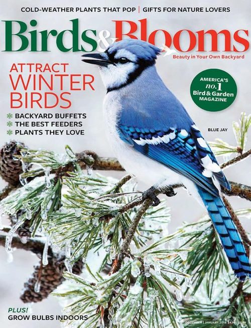 Birds & Blooms Magazine Subscriptions | Renewals | Gifts