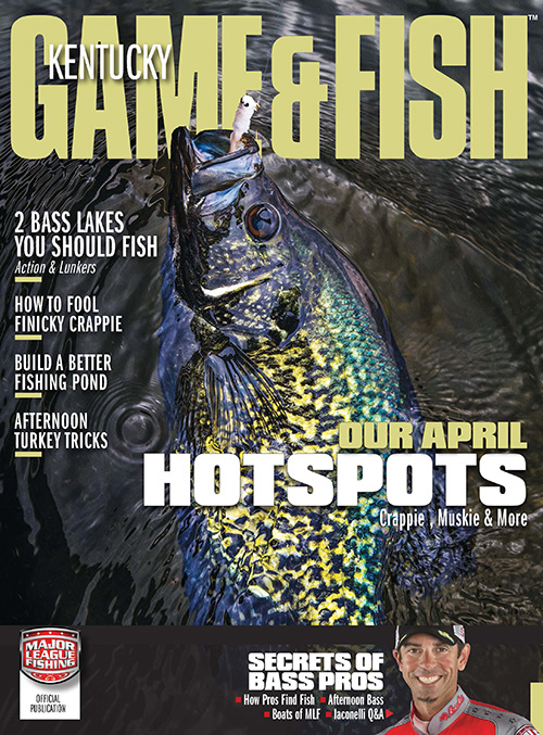 Kentucky Game & Fish Magazine Subscription Discounts & Deals